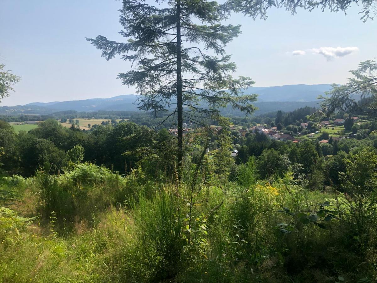 Le Clara Villa Saulxures Екстериор снимка